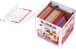 BrainBox: Polska