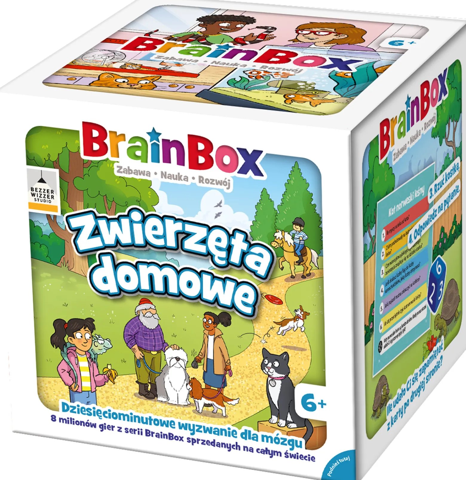 BrainBox: Zwierzęta domowe