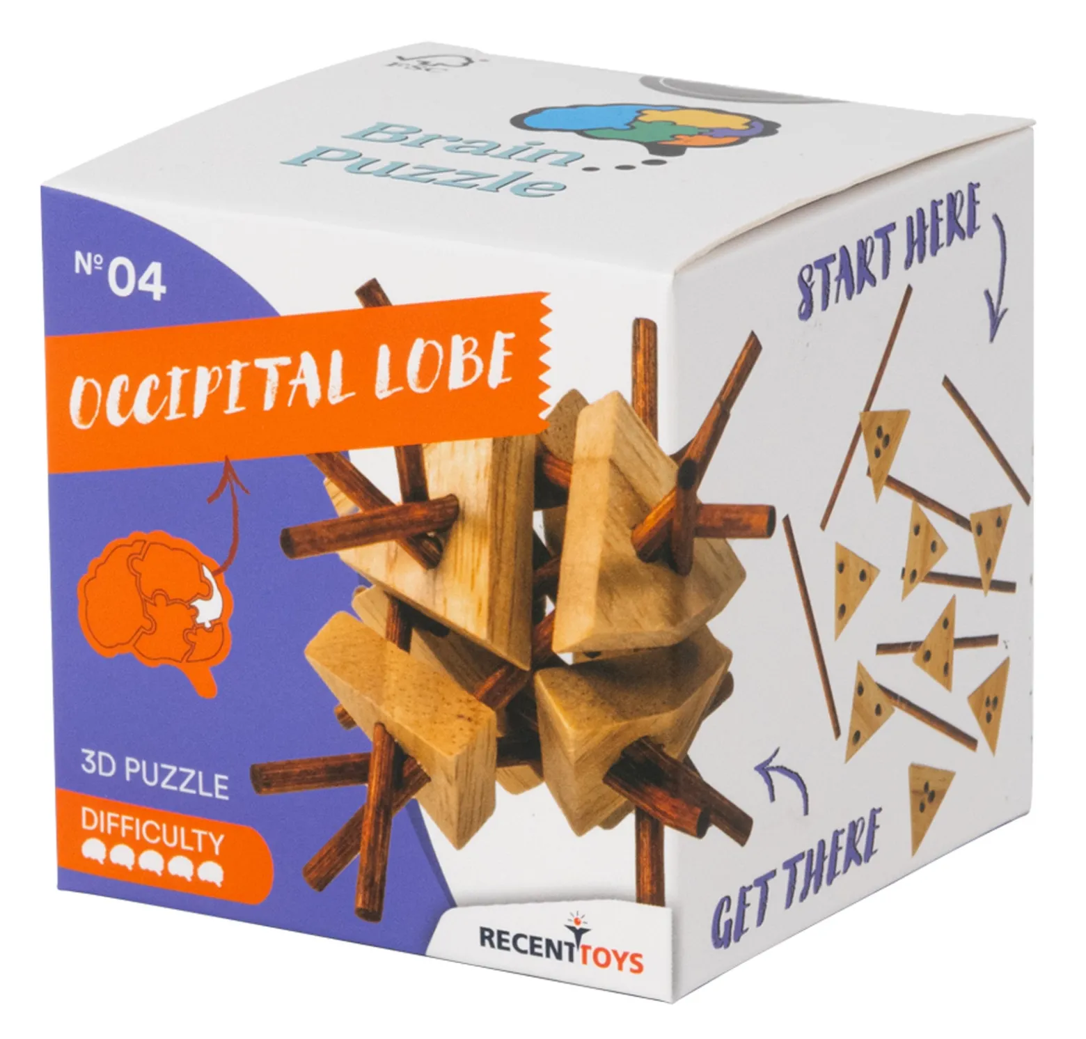 Brain Puzzle 4 - Occipital Lobe - łamigłówka Recent Toys - poziom 5/5