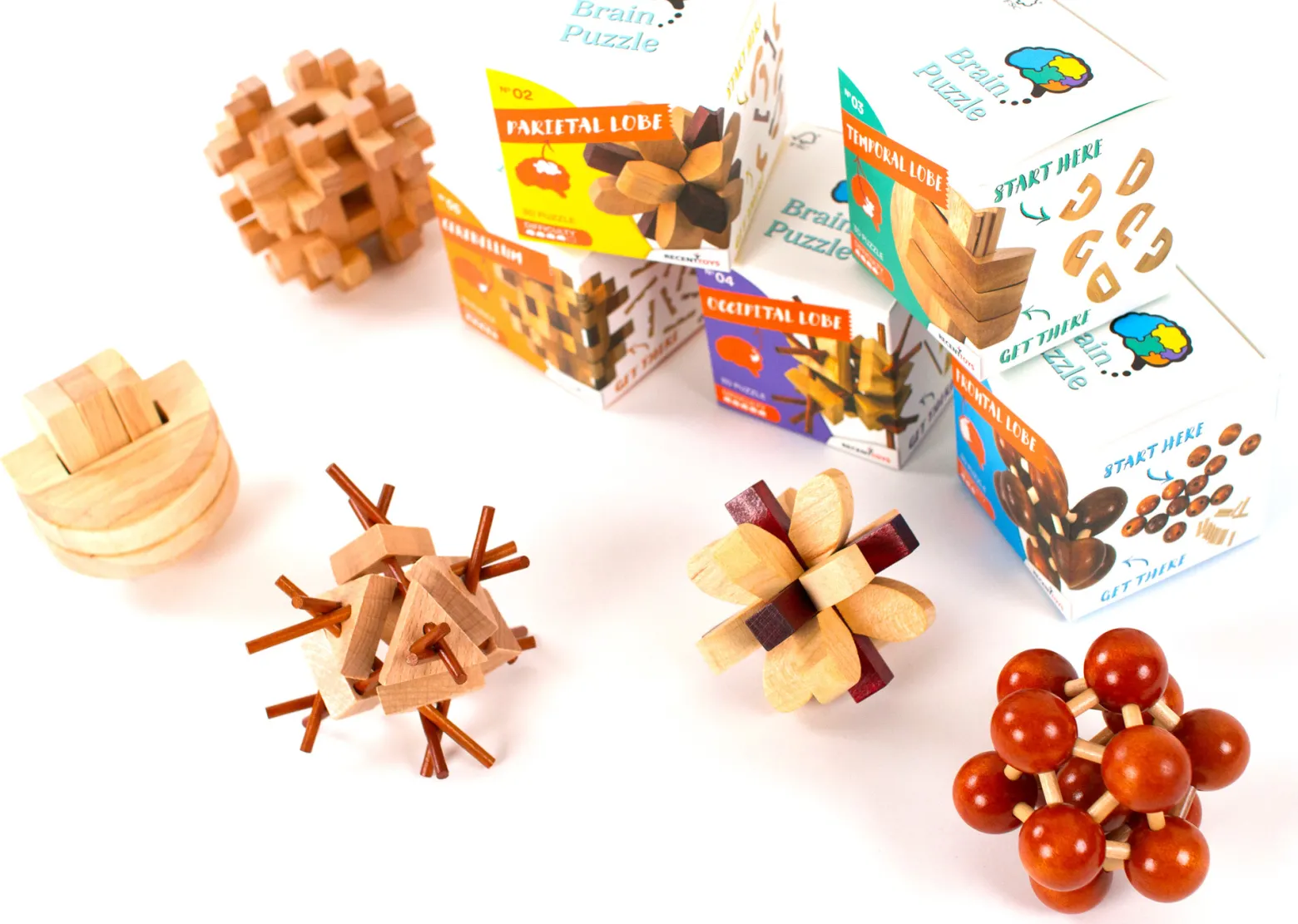 Brain Puzzle 4 - Occipital Lobe - łamigłówka Recent Toys - poziom 5/5
