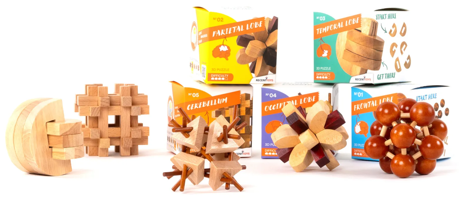 Brain Puzzle 2 - Parietal Lobe - łamigłówka Recent Toys - poziom 4/5