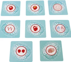 Cortex