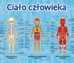 Mistrz Wiedzy - Ciało człowieka