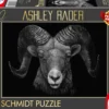 PQ Puzzle 1000 el. ASHLEY RADER Baran