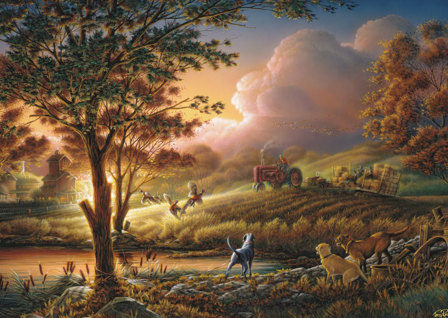PQ Puzzle 1000 el. TERRY REDLIN Żniwa w blasku słońca