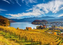 PQ Puzzle 2000 el. Winnice