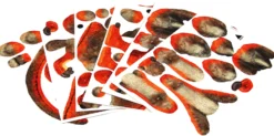 Puzzle 3D Dinozaury - Welociraptor 64 el.