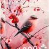 Puzzle 1000 el. Czerwony brzuszek