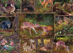 Puzzle 350 el. Drzwi do lasu
