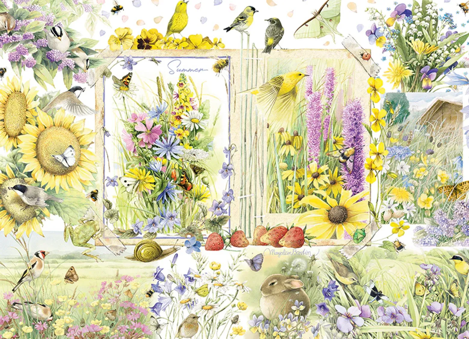 Puzzle 1000 el. Dziennik przyrodniczy: Lato