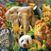 Puzzle 500 el. Dzikie zwierzęta
