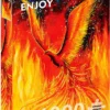 Puzzle 1000 el. Feniks