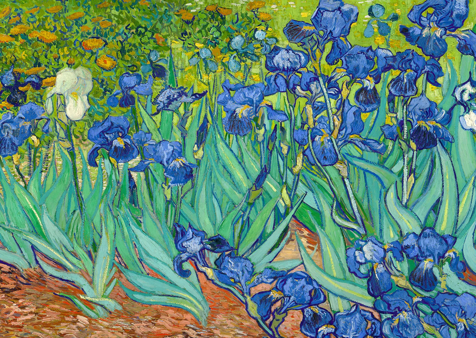 Puzzle 1000 el. Irysy, Vincent van Gogh