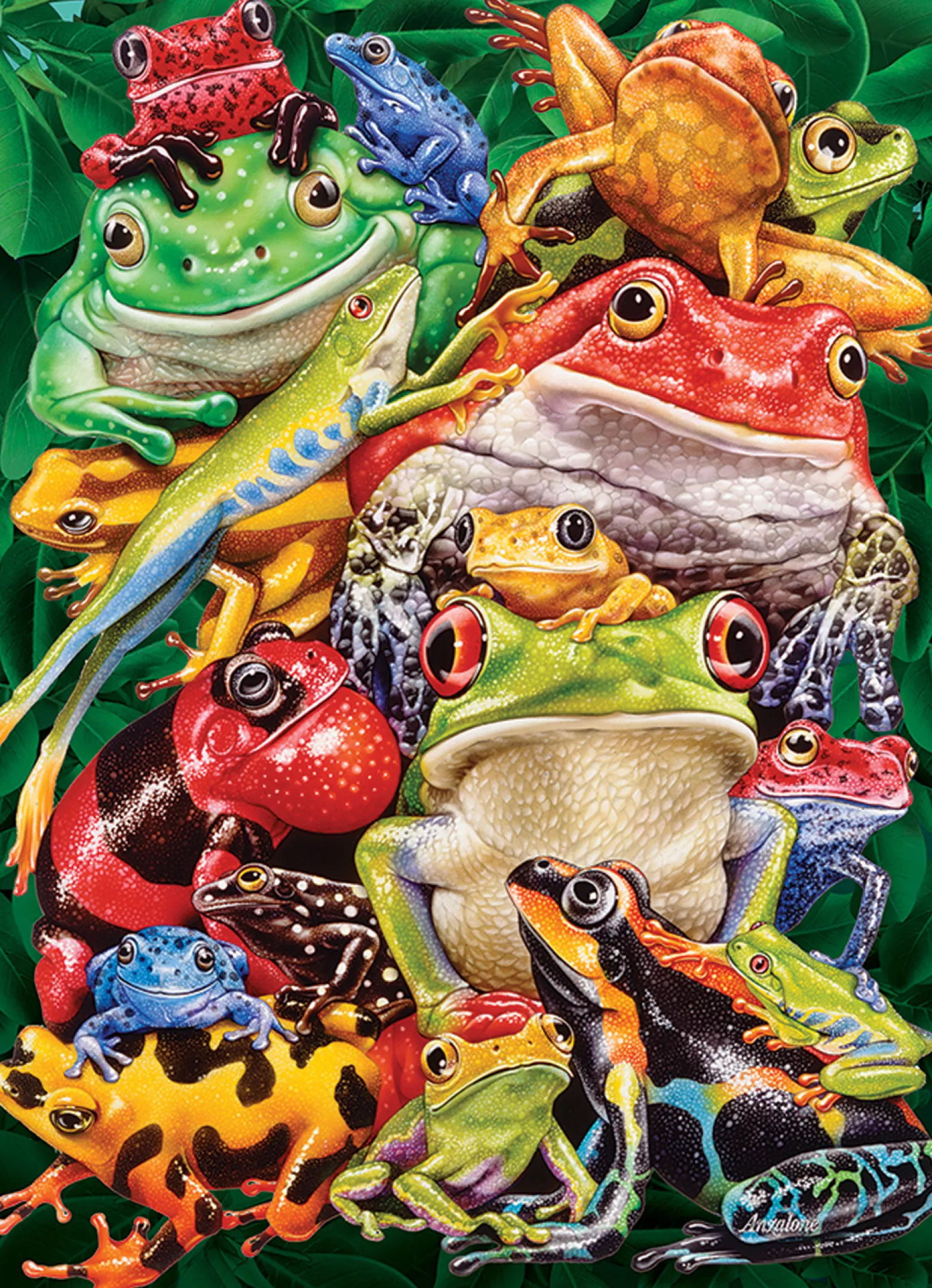 Puzzle 1000 el. Kolorowe żaby