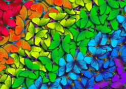 Puzzle 1000 el. Kolorowe motyle