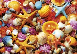 Puzzle 1000 el. Kolorowe muszelki