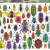 Puzzle 500 el. Kolorowe owady
