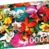 Puzzle 1000 el. Kolorowe storczyki