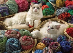 Puzzle 1000 el. Koty rasy Ragdoll
