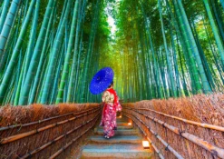 Puzzle 1000 el. Las bambusowy / Japonia