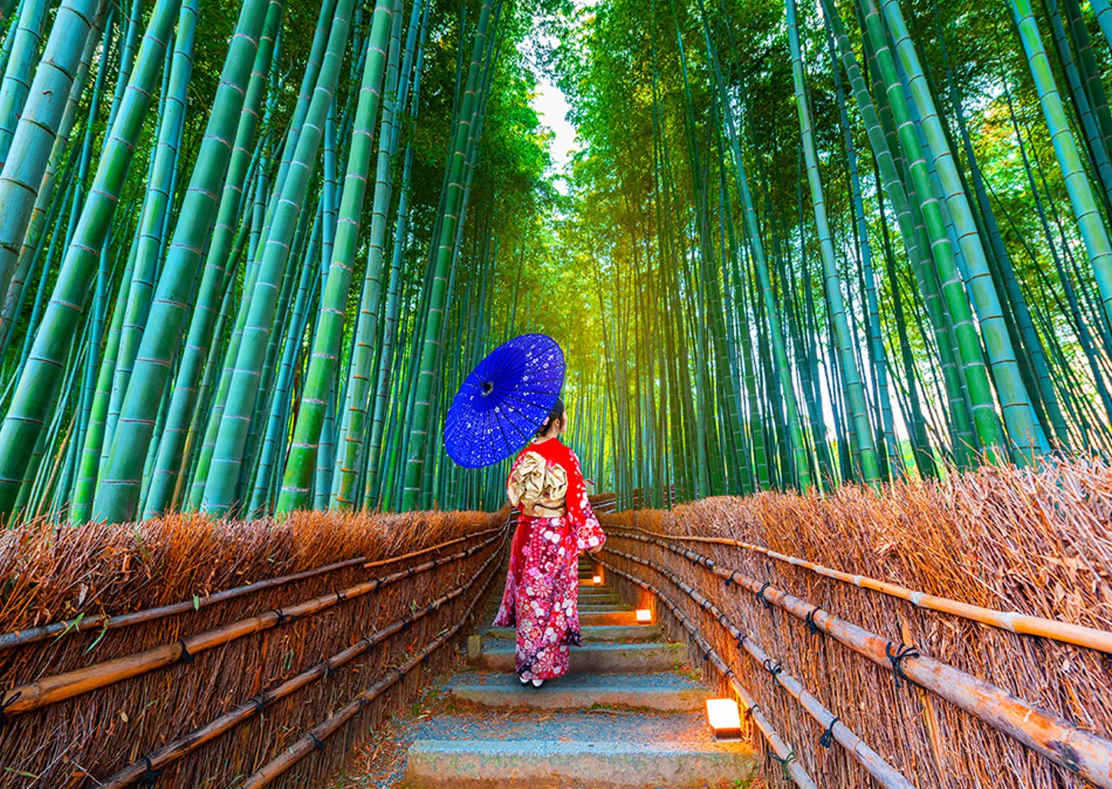 Puzzle 1000 el. Las bambusowy / Japonia