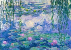 Puzzle 1000 el. Lilie wodne, Claude Monet
