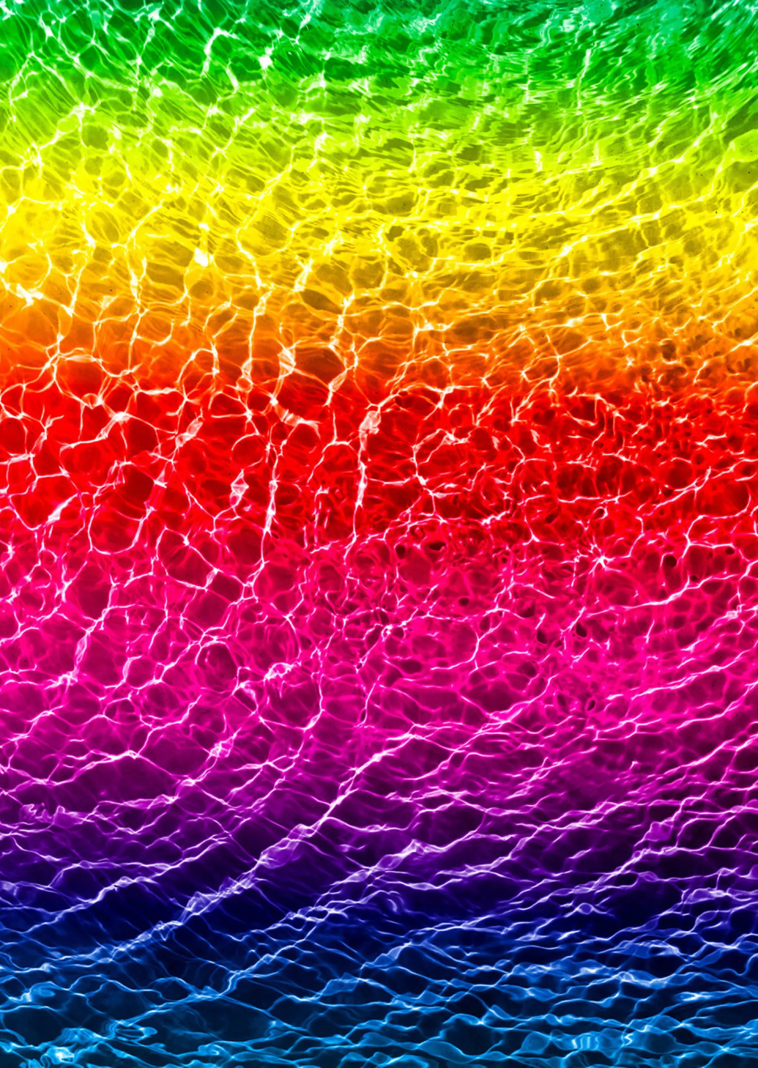 Puzzle 1000 el. Morska tęcza