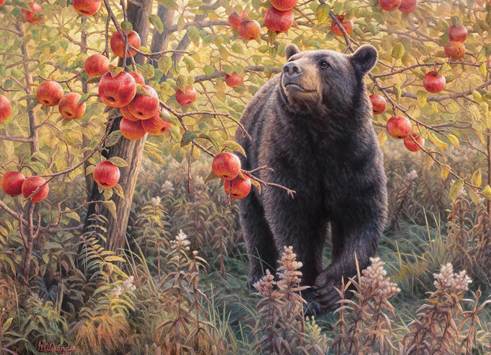 Puzzle 500 el. Pobudka z zimowego snu