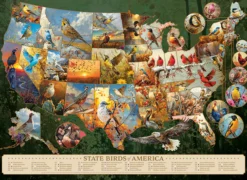 Puzzle 1000 el. Ptaki - symbole amerykańskich stanów