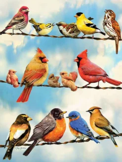 Puzzle 500 el. Ptasia narada