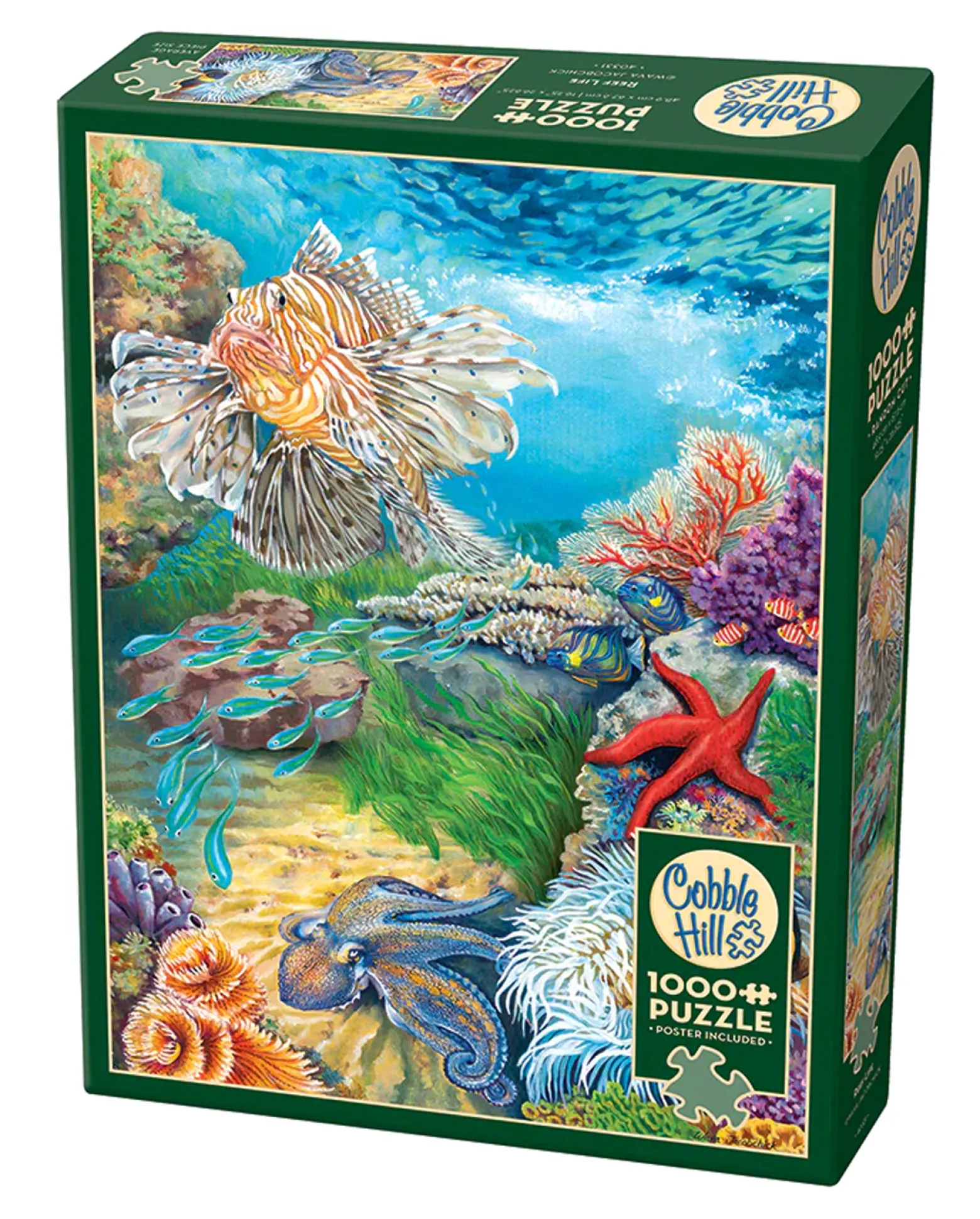 Puzzle 1000 el. Rafa koralowa