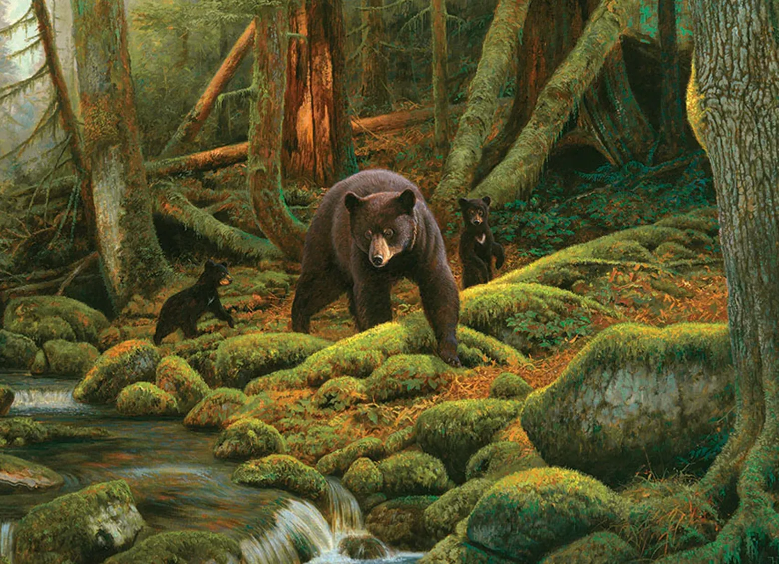 Puzzle 1000 el. Rodzina niedźwiedzi