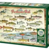 Puzzle 1000 el. Ryby słodkowodne Ameryki Północnej