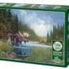 Puzzle 1000 el. Spacer nad rzeką