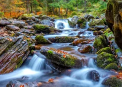 Puzzle 1000 el. Strumień w lesie