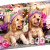 Puzzle 1000 el. Szczenięta rasy Cocker Spaniel