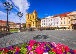 Puzzle 1000 el. Timisoara / Rumunia
