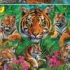 Puzzle 500 el. Tygrysy w dżungli