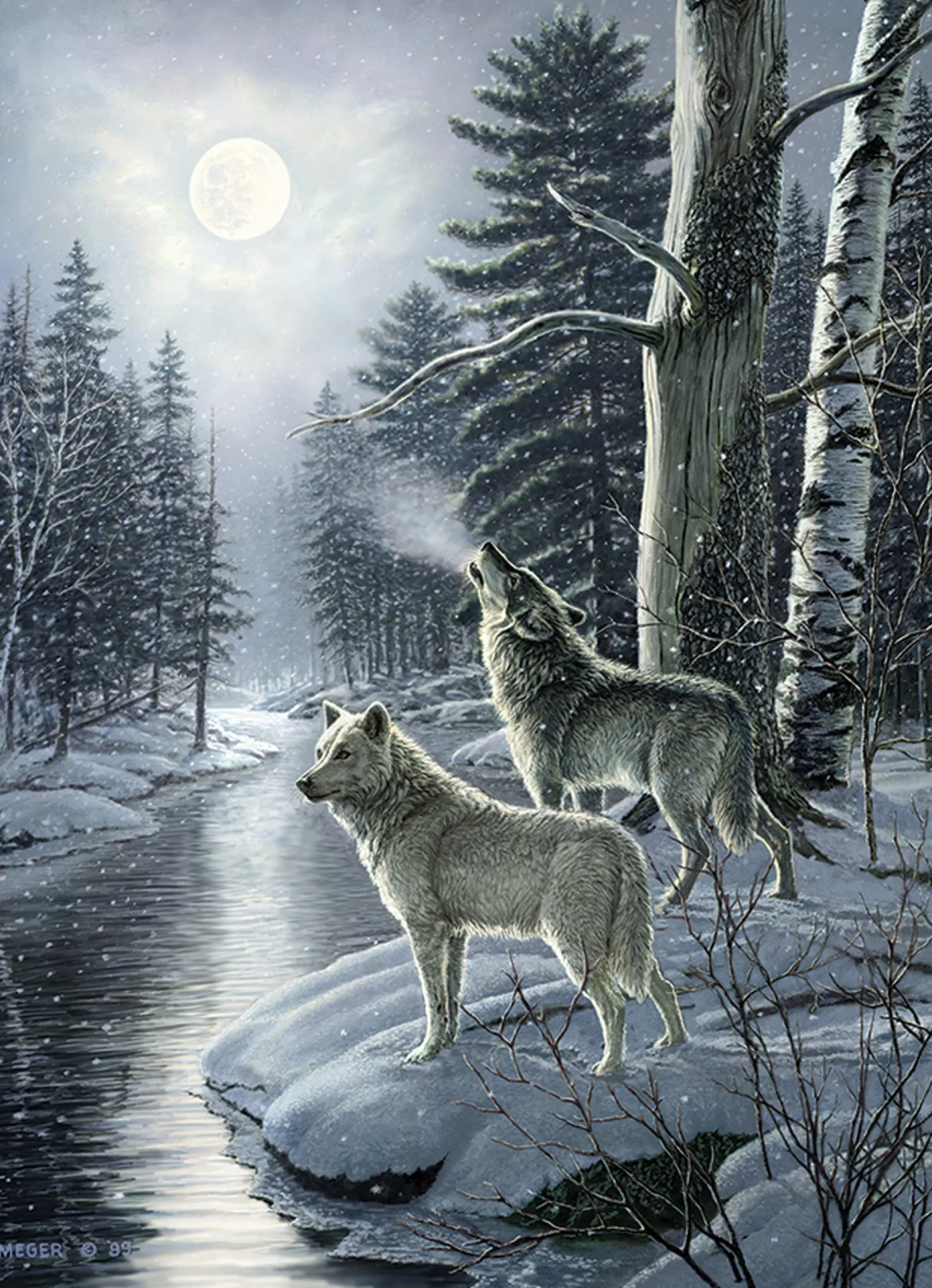 Puzzle 1000 el. Wilki w świetle księżyca