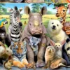 Puzzle 1000 el. Zdjęcie klasowe
