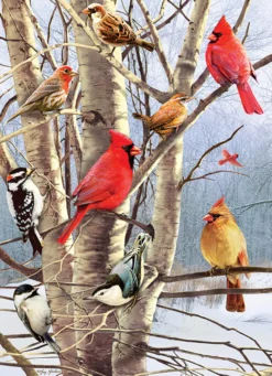 Puzzle 1000 el. Zimowe ptaki