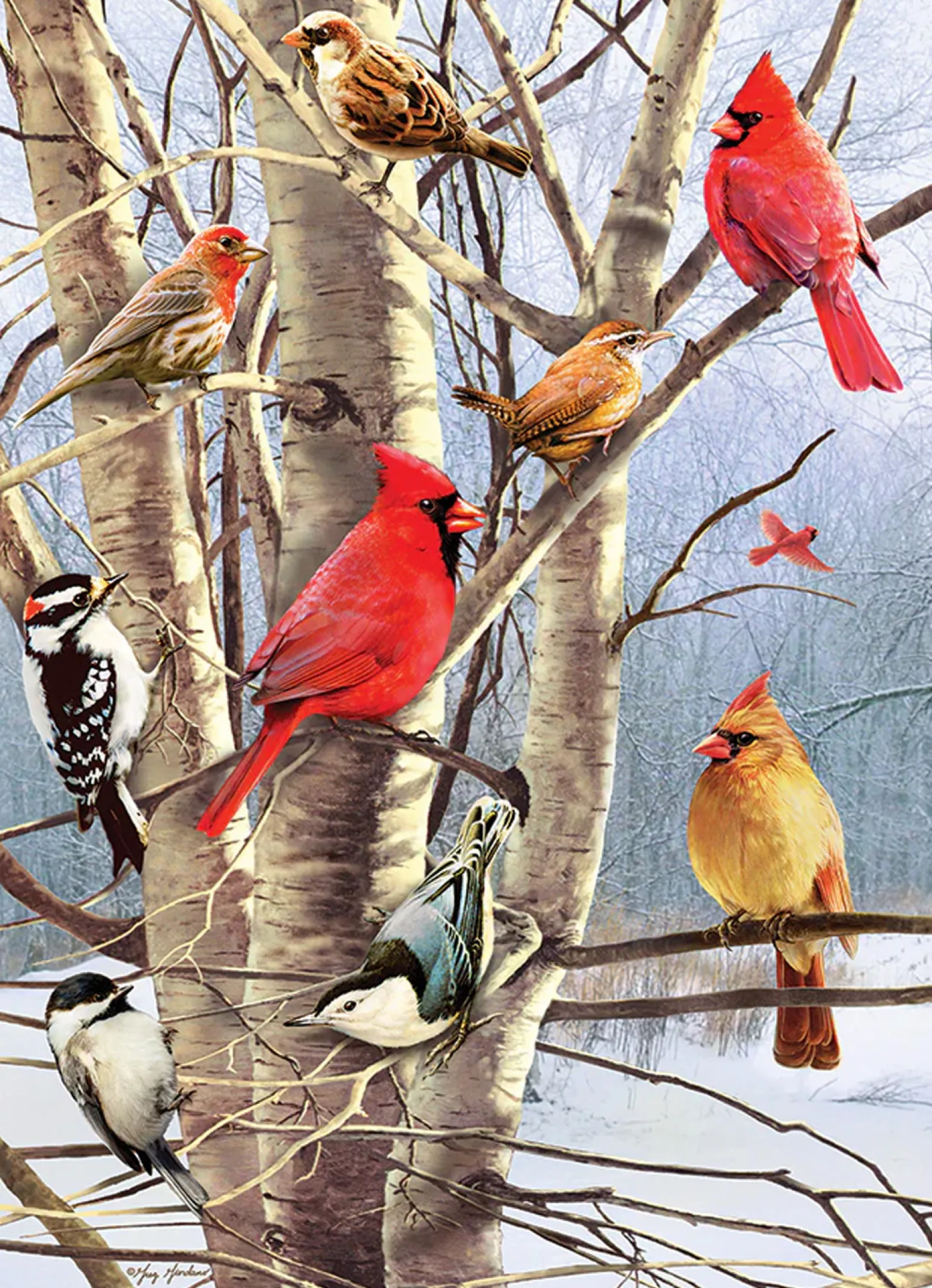 Puzzle 1000 el. Zimowe ptaki