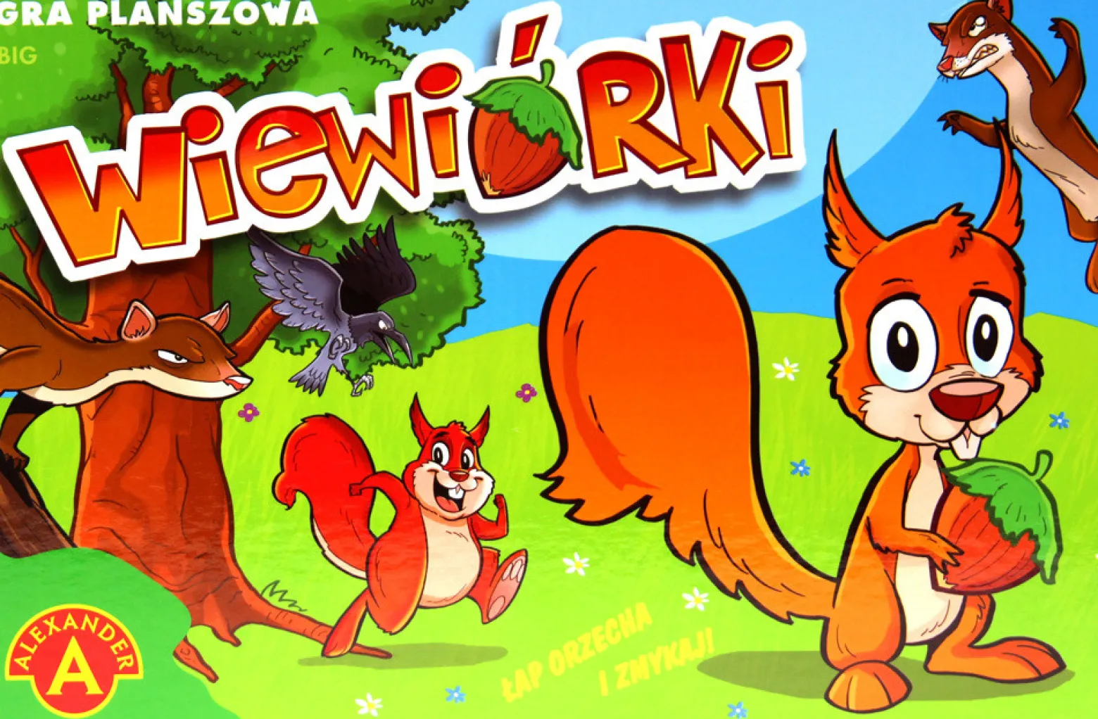 Wiewiórki